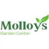 Molloys