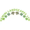Gemini Landscapes