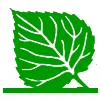 MSW Landscaping