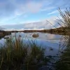 Graeme Evans Landscapes