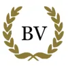 Better View Window Cleaning Services
