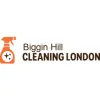 Biggin Hill Carpet Cleaners