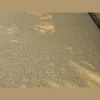 Soft Surfaces
