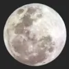 Moon Plumbing