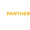 Panther Scaffolding