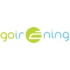 Go Ironing