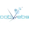Cobwebs