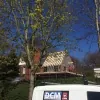 DCM Building & Roofing