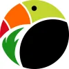 Toucan Painting Projects