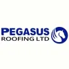 Pegasus Roofing