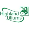 Highland Liliums