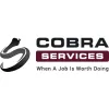 Cobra Security NI