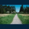 Woodward Landscapes