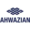 Ahwazian Oriental Carpets & Rugs