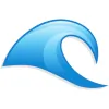 Blue Ocean Cleaning