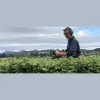 Garden Options