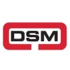 DSM Industrial Engineering