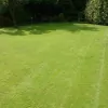 Lawn 3