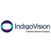 Indigo Vision
