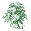 All Seasons Gardening & Logs