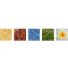 Plant Design