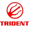 Trident Construction Solutions