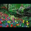 DaVally Garden Services