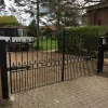 Elm Fencing