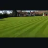 Green Side Turf Care Specialist
