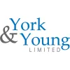 York & Young