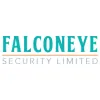 Falcon Eye Security
