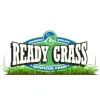 Ready Grass