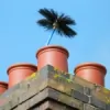 Cheroo Chimney Sweeps