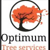 Optimum tree services