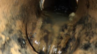 Drain Unblocking