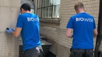Commercial Pest Control