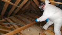 Timber Treatments
