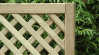 Trellis