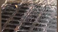 Drain Maintenance