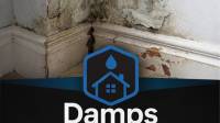 Your trusted experts in damp proofing Clifton