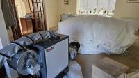 Carpet Moth Treatment