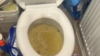 Blocked Toilet - Emergency Unlbocking
