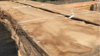 Outdoor Timber