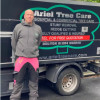 Ariel Tree Care
