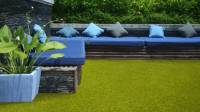 Artificial Grass