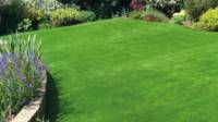 Artificial Grass & Living Walls