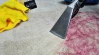 Carpet Cleaning