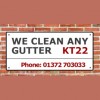 We Clean Any Gutter