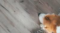 Laminate Flooring