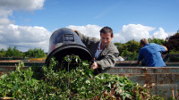 Gardening